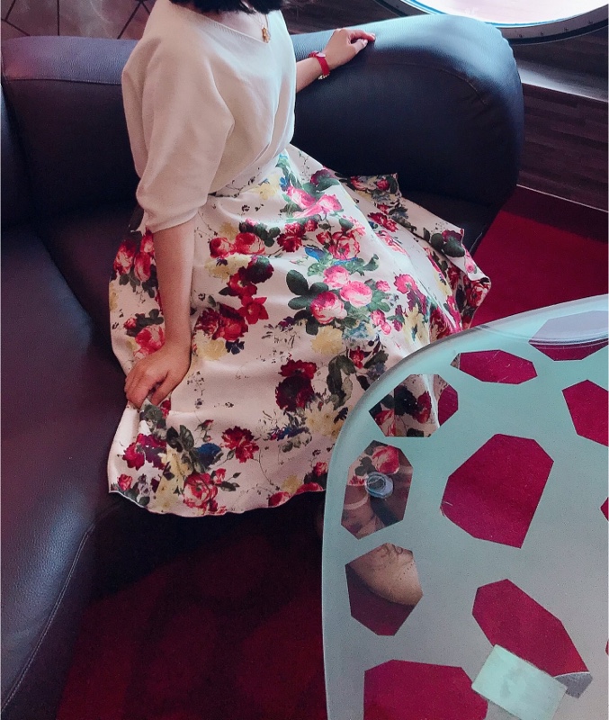 クルージングとスカートの着画