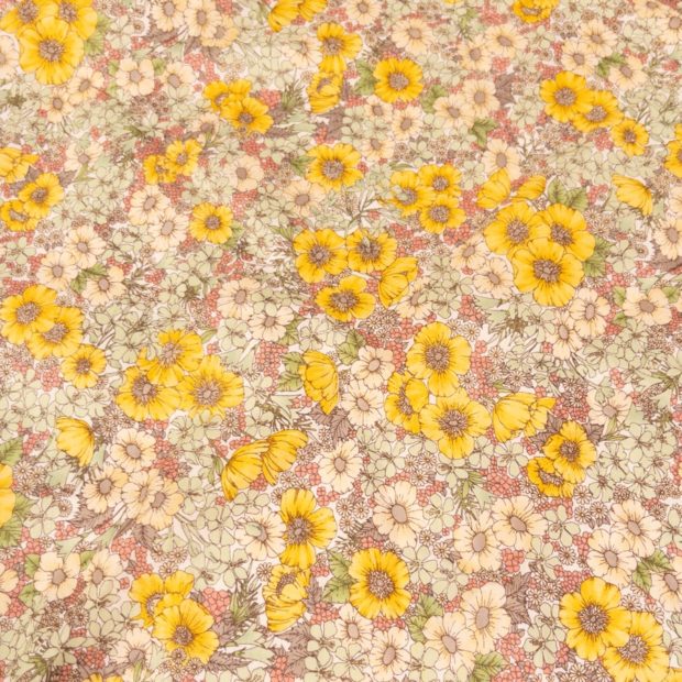 動画でも見られていいなあ